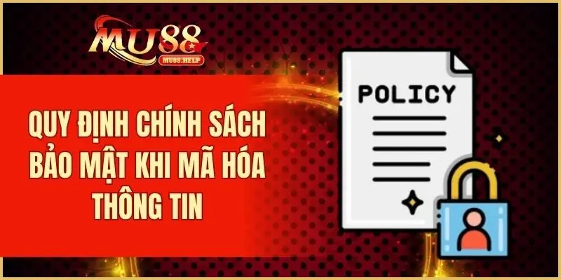 Quy định chính sách bảo mật khi mã hóa thông tin